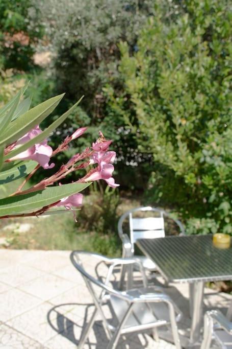 Anadora 2: Hospitable Stone House With Yard Apartment Alexandroupoli Exterior foto